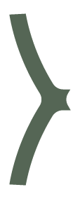 Decorative right curly bracket