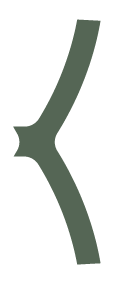 Decorative left curly bracket